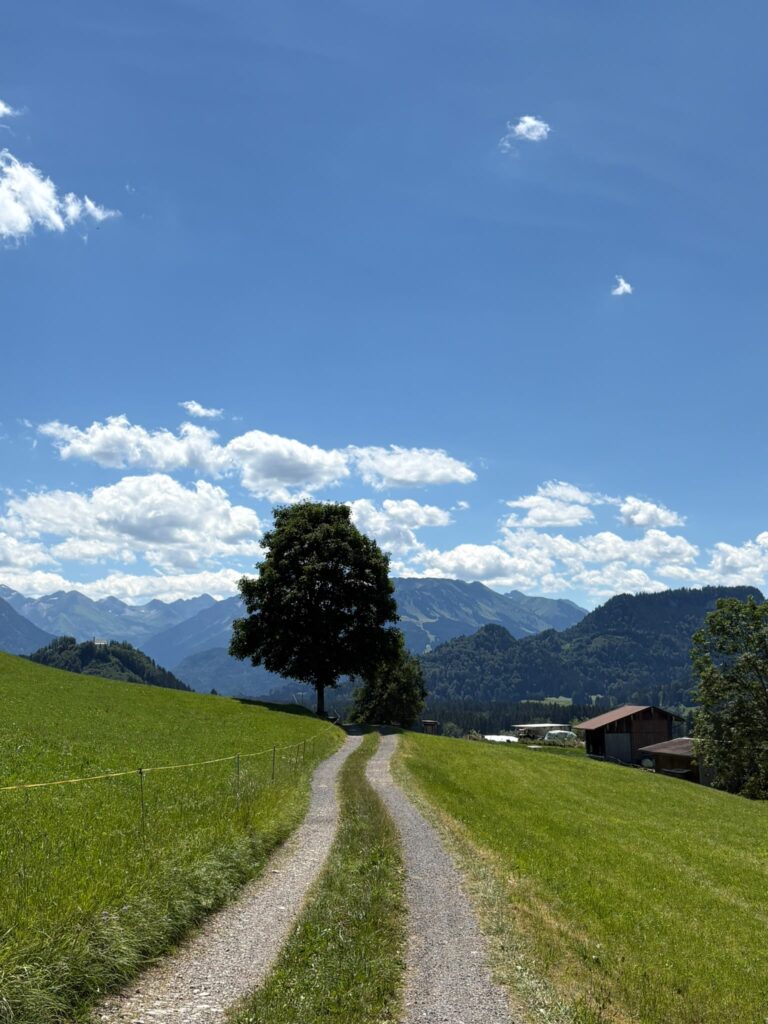 Weg mit Baum vorne